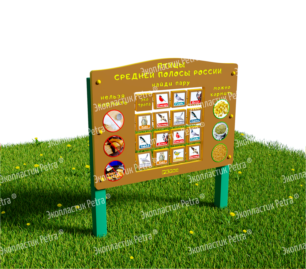 Уличный модуль Знакомство с птицами