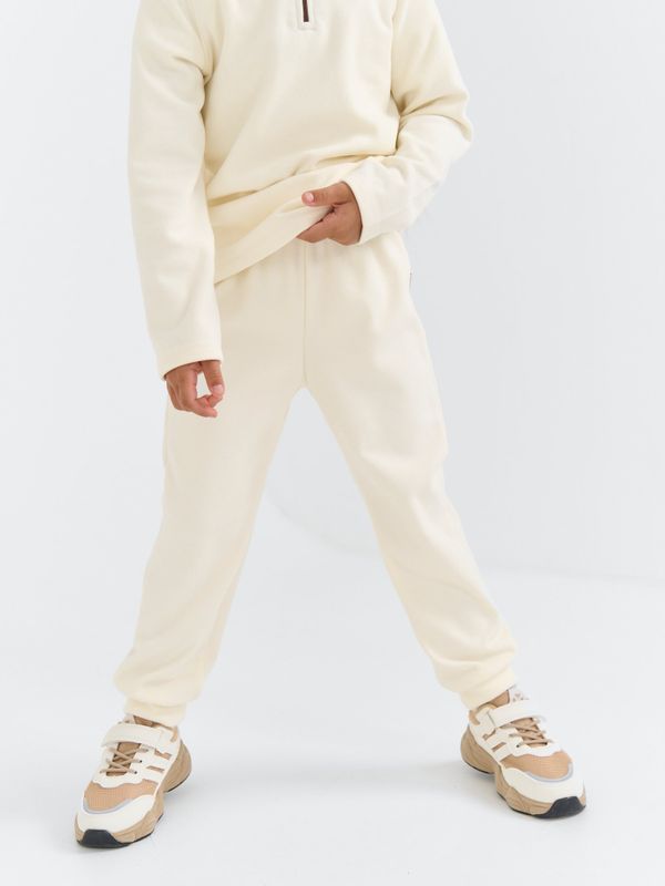 Джоггеры флисовые 