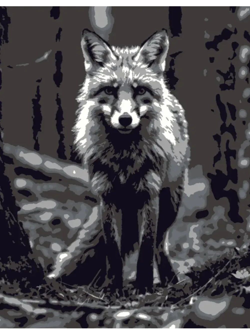 Картина по номерам черно-белая Лисица