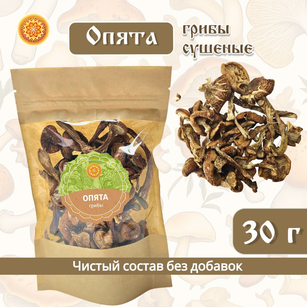 Грибы сушеные опята.