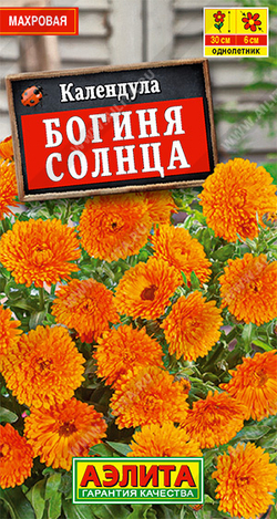 Календула Богиня солнца Ц Аэлита