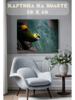 Картина на стену 40 X 50 Попугай