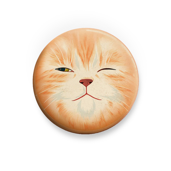 Значок "Хитрая морда"