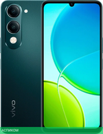 Смартфон Vivo Y04 4GB/128GB малахитовый черный (V2430)