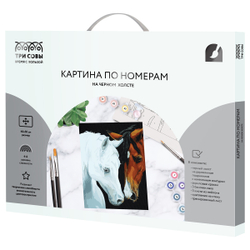 Картина по номерам на черном холсте "Нежные чувства", 40*50, c акриловыми красками и кистями, ТРИ СОВЫ