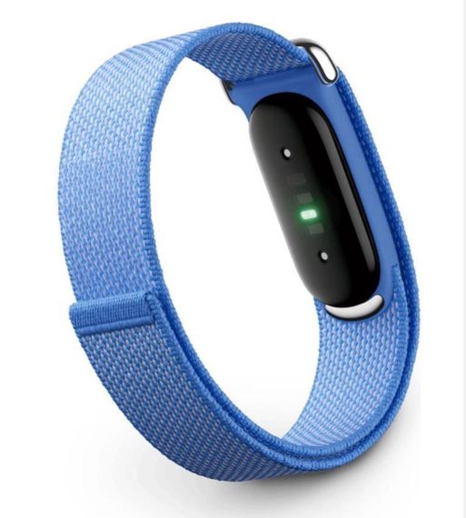 Фитнес-браслет Google Fitbit Air
