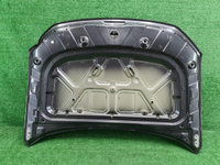 Капот Kia Mohave 1 HM (2019-2024)