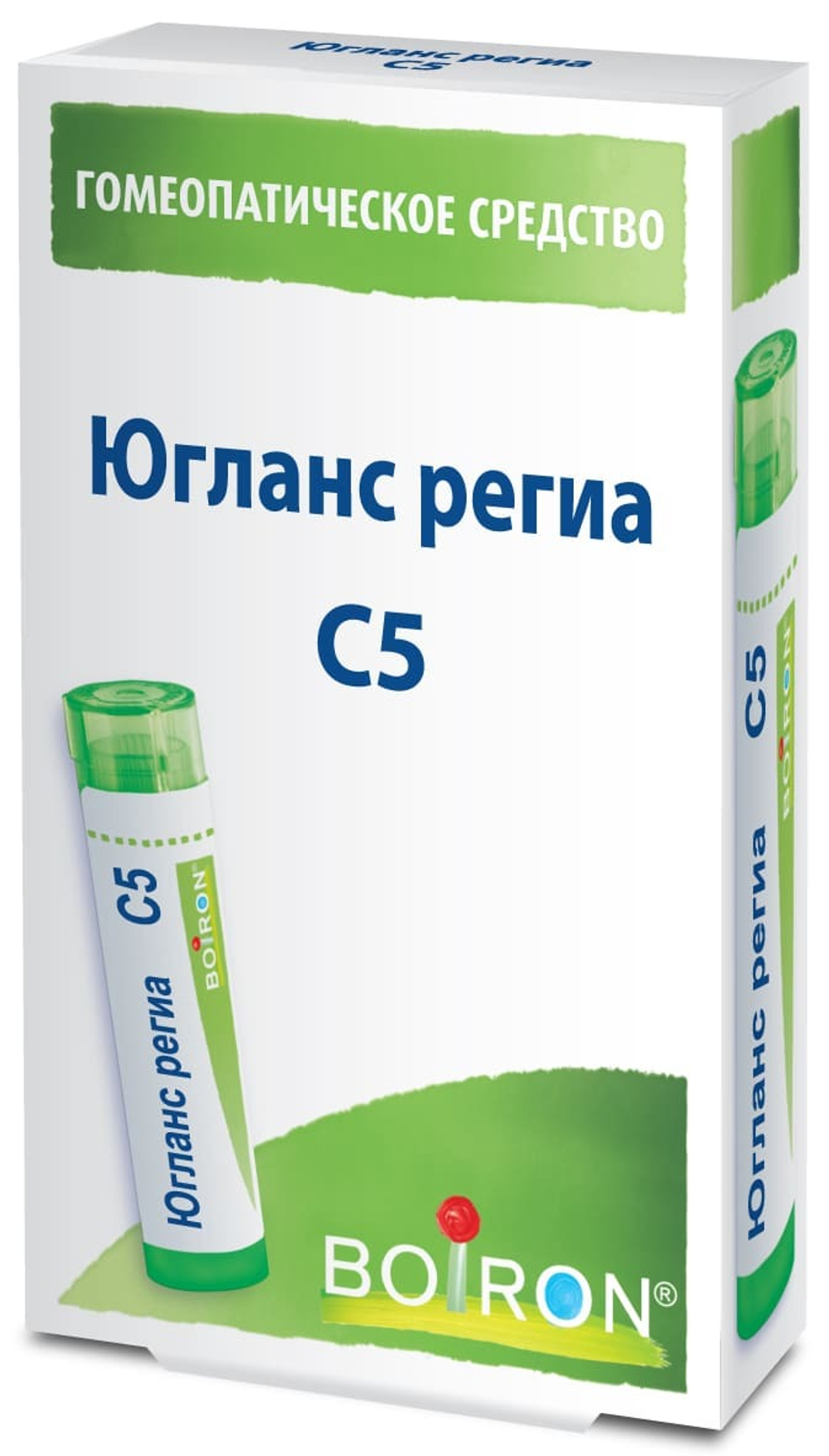 Югланс региа (Juglans regia) C5 Буарон