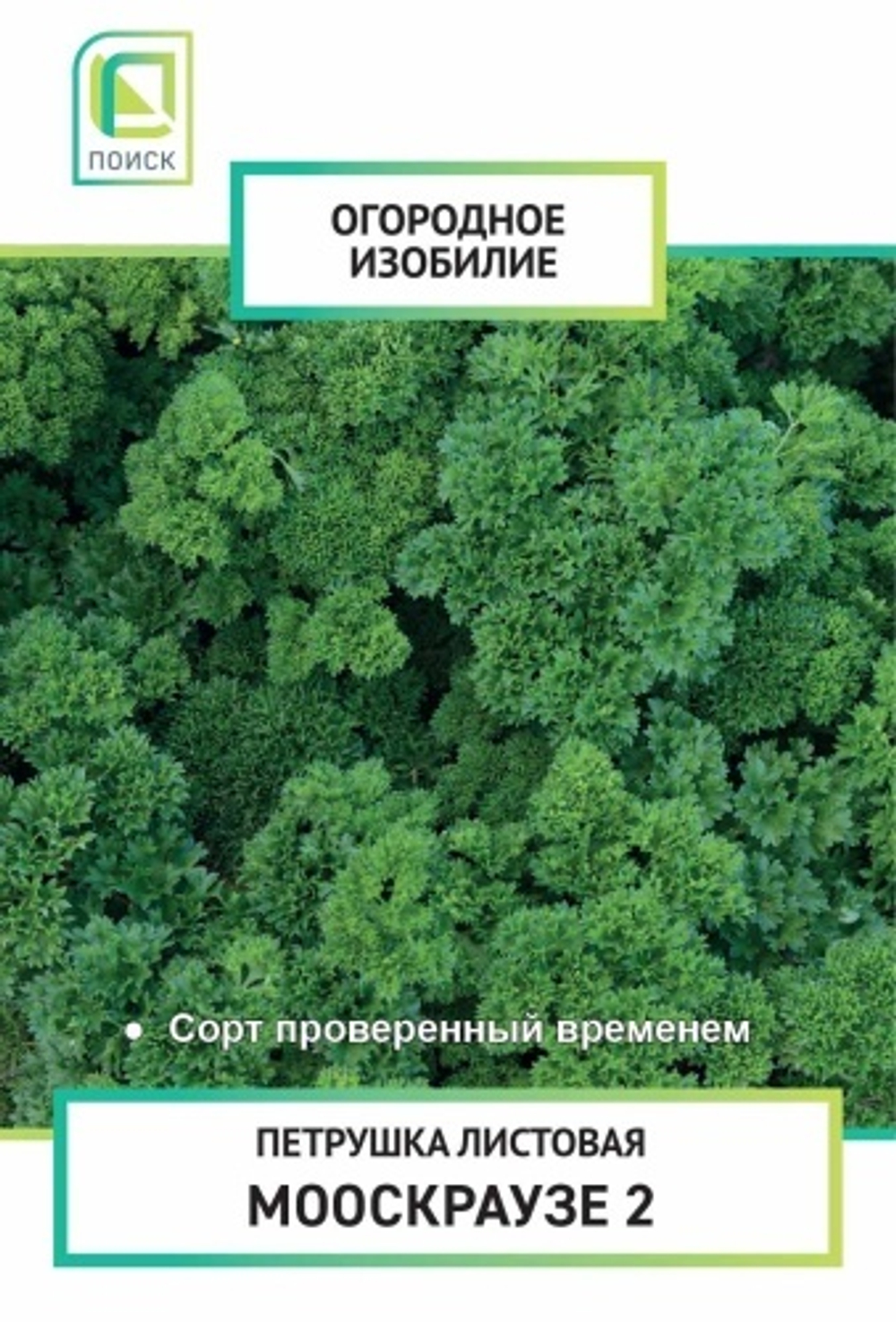Петрушка листовая Мооскраузе 2