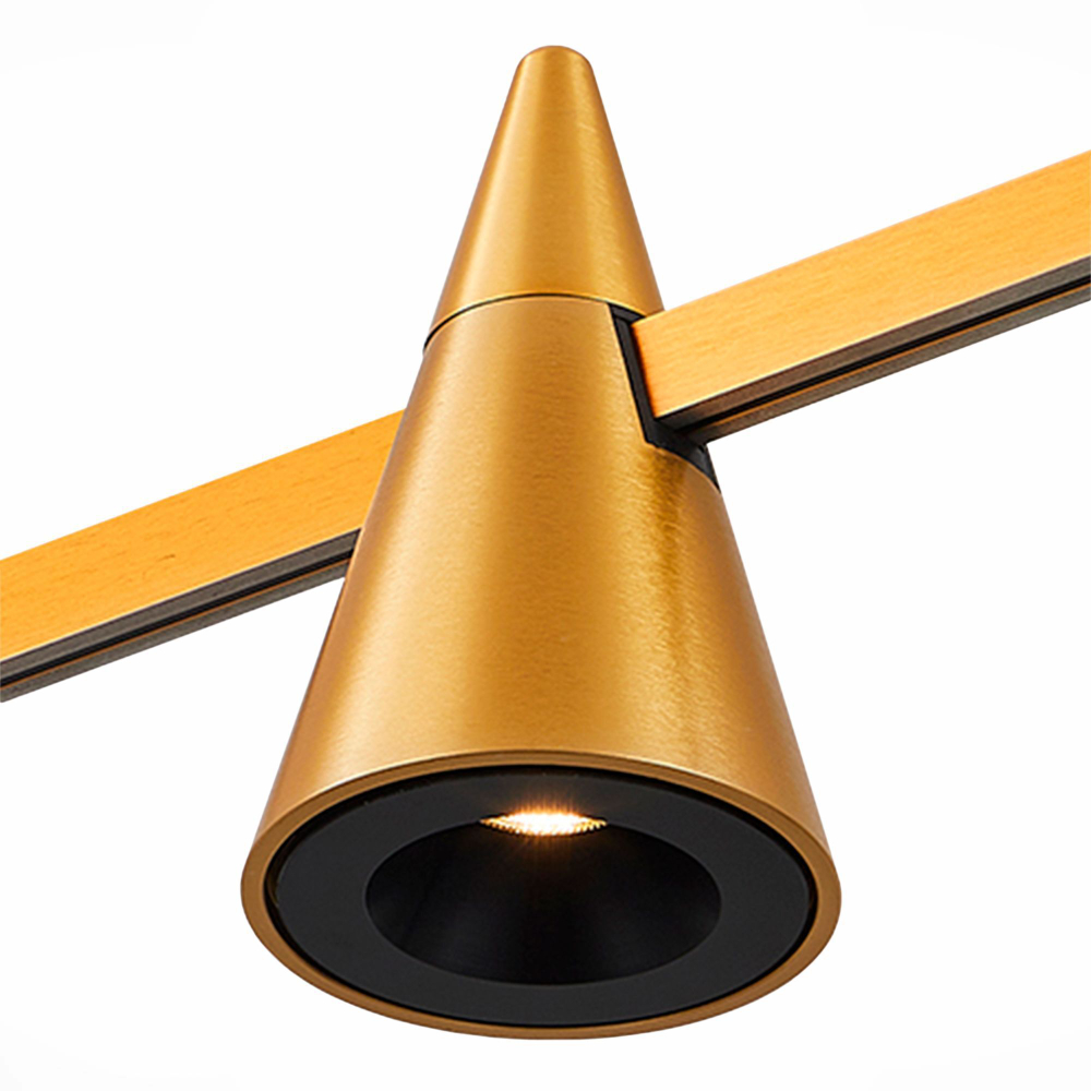 Магнитный трековый светильник ST Luce FARM ST813.246.05