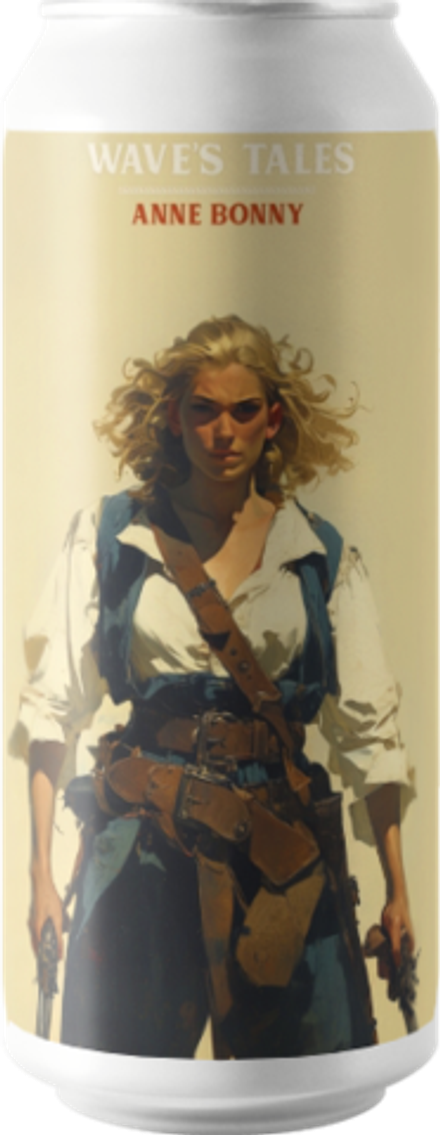 Пиво План Б Вэйвс Тэйлс Ан Бони / Plan B Wave’s Tales. Anne Bonny 0.45 - банка