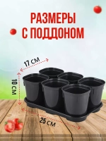 Набор для рассады на 6 стаканчиков 400мл с поддоном *1шт