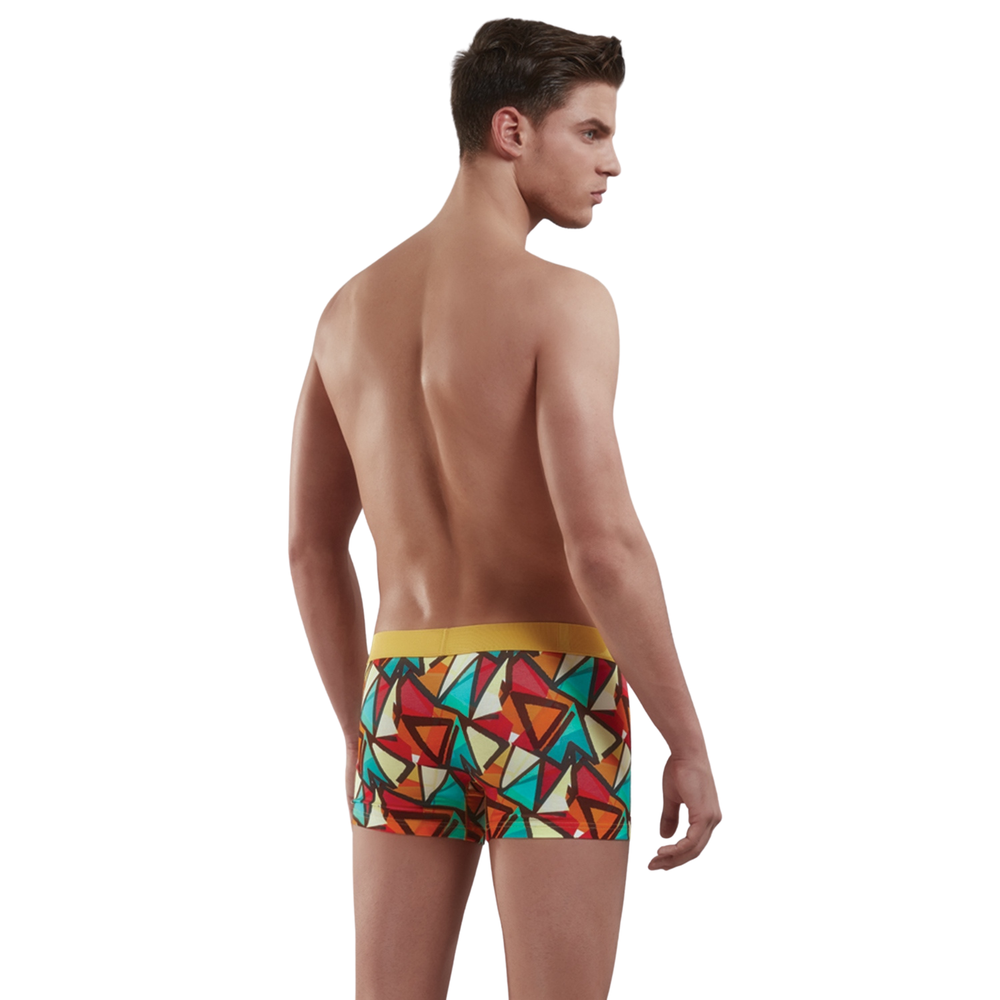 Мужские трусы боксеры мультиколор Doreanse 1873