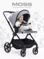 Коляска детская RANT "MOSS" RA323