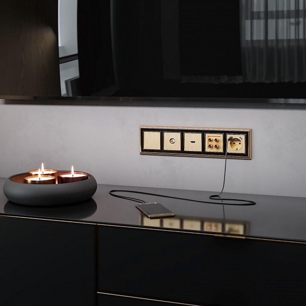 Накладка для розетки с заземлением и 2хUSB Werkel шампань рифленый W1179510