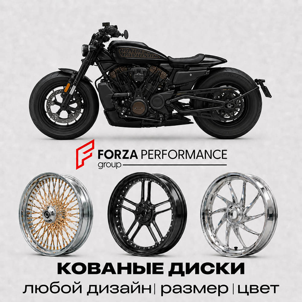 Кованые диски для Harley Davidson Sport