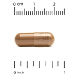 California Gold Nutrition, пчелиный прополис 2X, концентрированный экстракт, 500 мг, 240 вегетарианских капсул