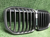 Решетка радиатора BMW X7 G07 (2019-2022)