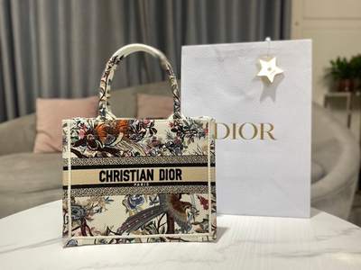 Christian Dior Book Tote 26 cm