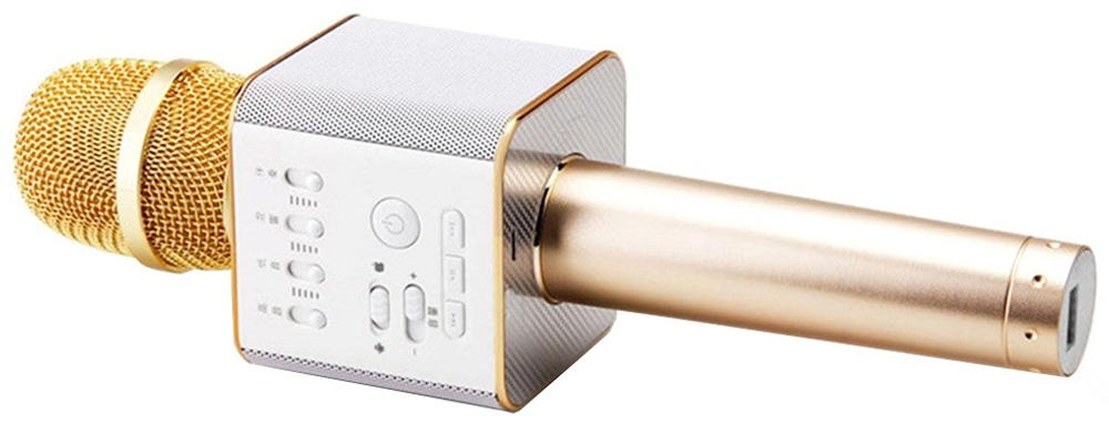 Микрофон Sound Wave SoundWave Q9