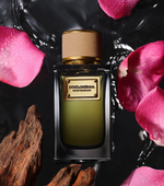 Dolce & Gabbana Velvet Tender Oud