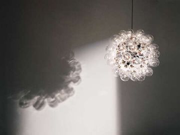 Flos Taraxacum 88 Suspension 1