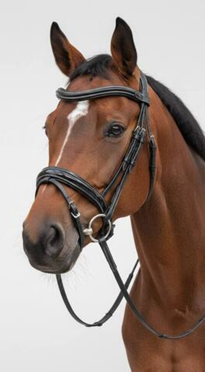 Оголовье (уздечка) с лаковым капсюлем