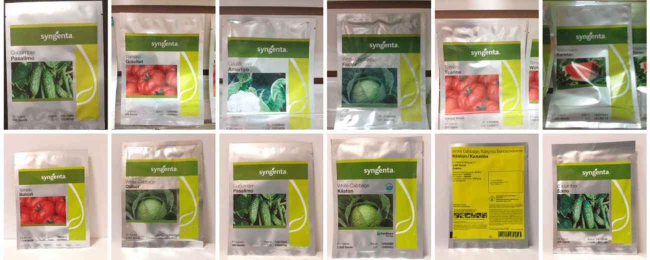 Перейти в каталог Syngenta