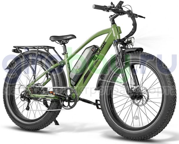 Электровелосипед Saige Lander (48V/13Ah) - Зелёный фото 111 №1 222
