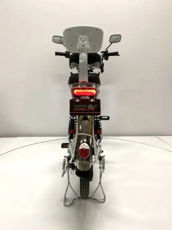 Электровелосипед Green Camel Транк 20 V8 PRO 40км