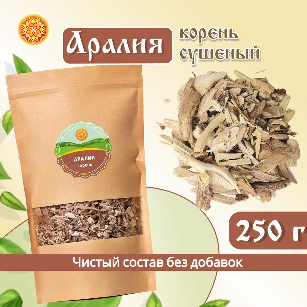 Аралия корень.