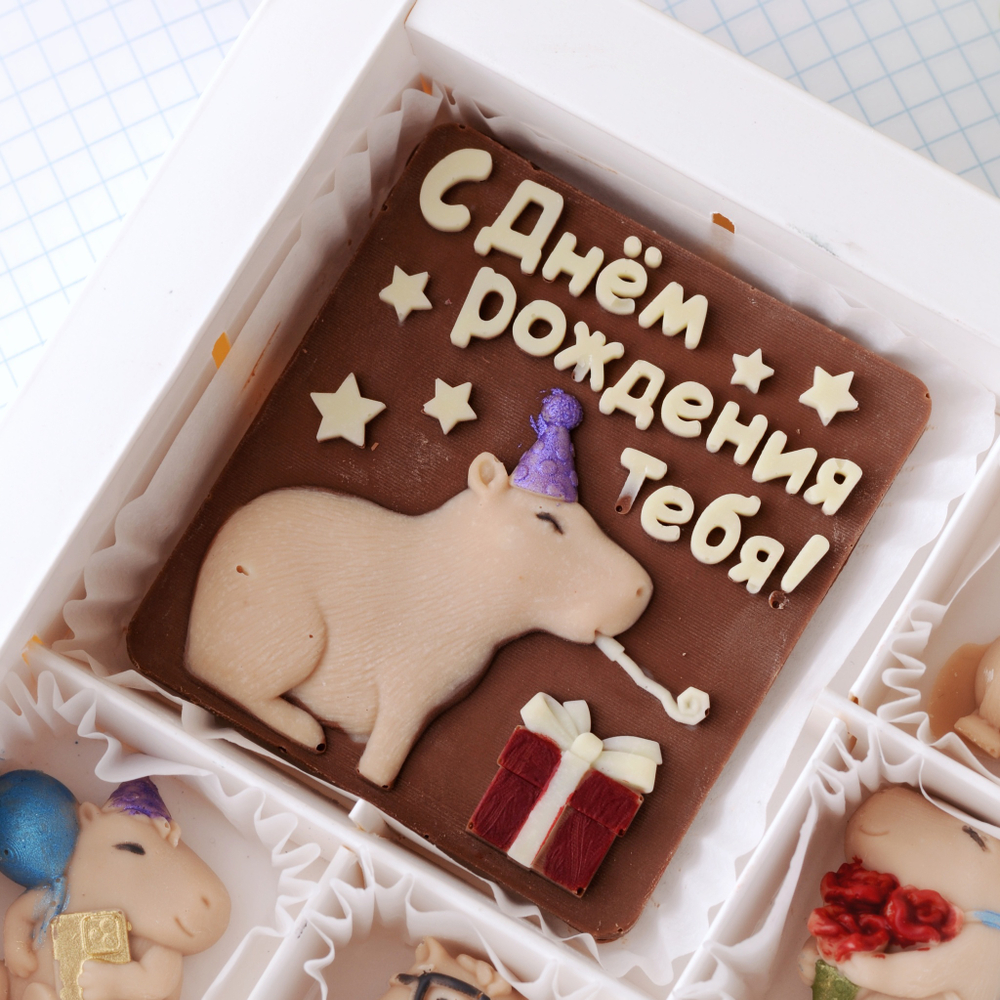 Набор "С днём рождения" с капибарами #3