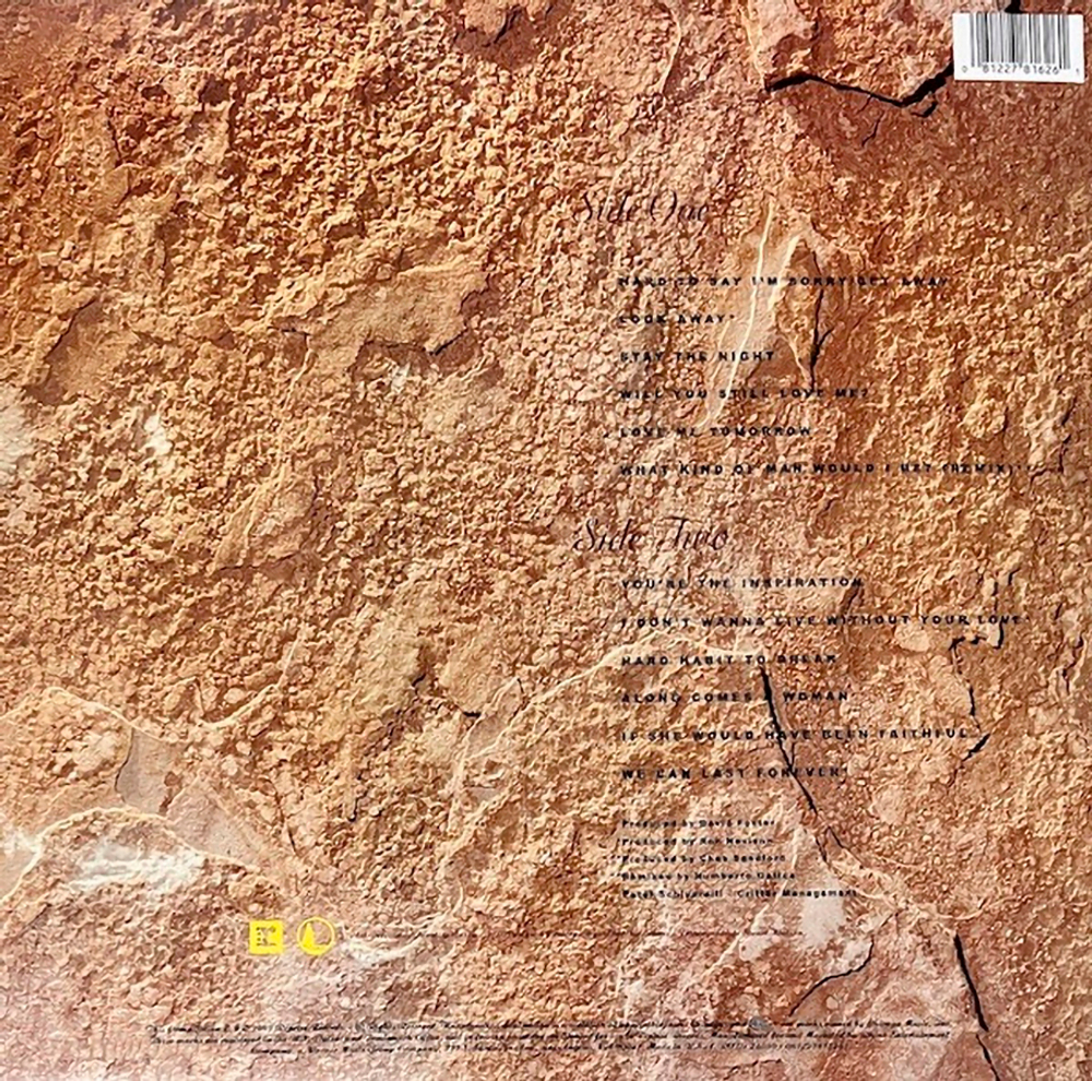 Chicago / Greatest Hits 1982-1989 (Coloured Vinyl)(LP)