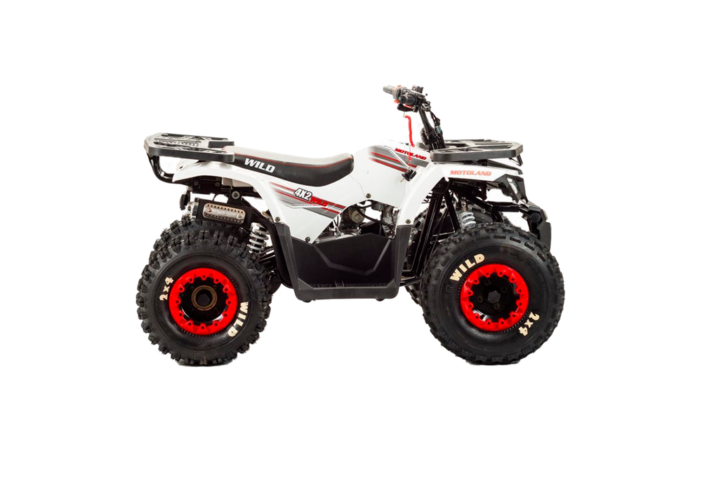 Квадроцикл Motoland VOX125 WILD белый
