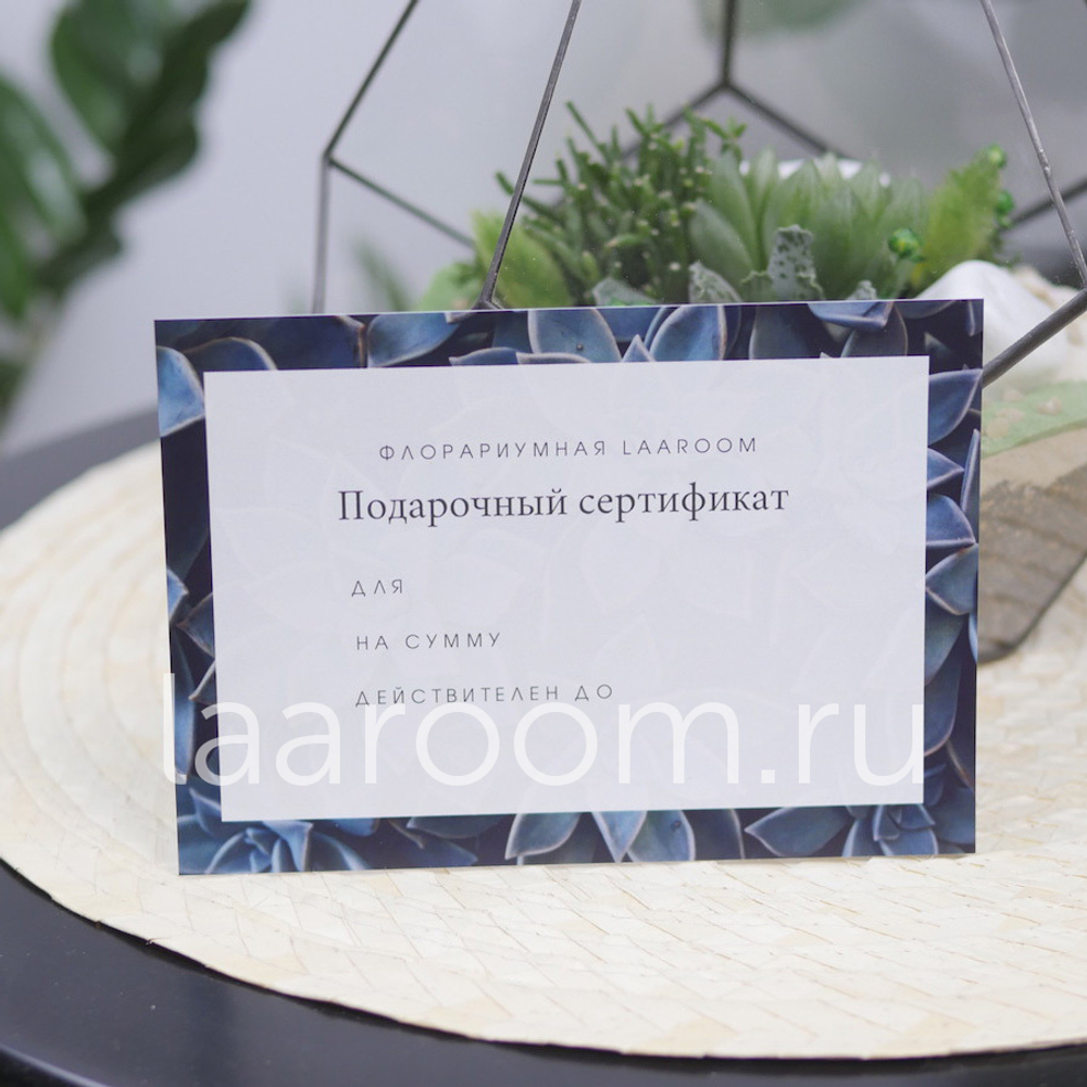 Подарочный сертификат