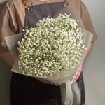 Букет из живых цветов белая гипсофила 5 шт, 50 см, в пленке, без зелени