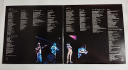 Винтажная виниловая пластинка Queen A Day At The Races (Japan 1976) (No Obi)