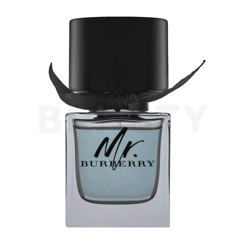 Burberry Mr. Burberry EDT M 50 ml