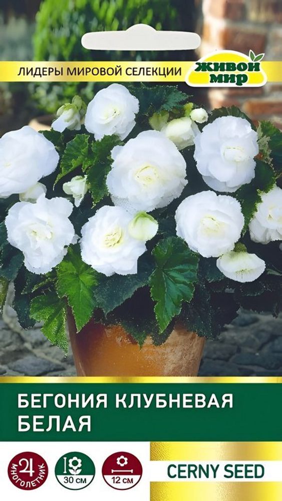 Бeгoния клубневая &quot;ЖМ. Белая&quot; 10шт, Чехия.