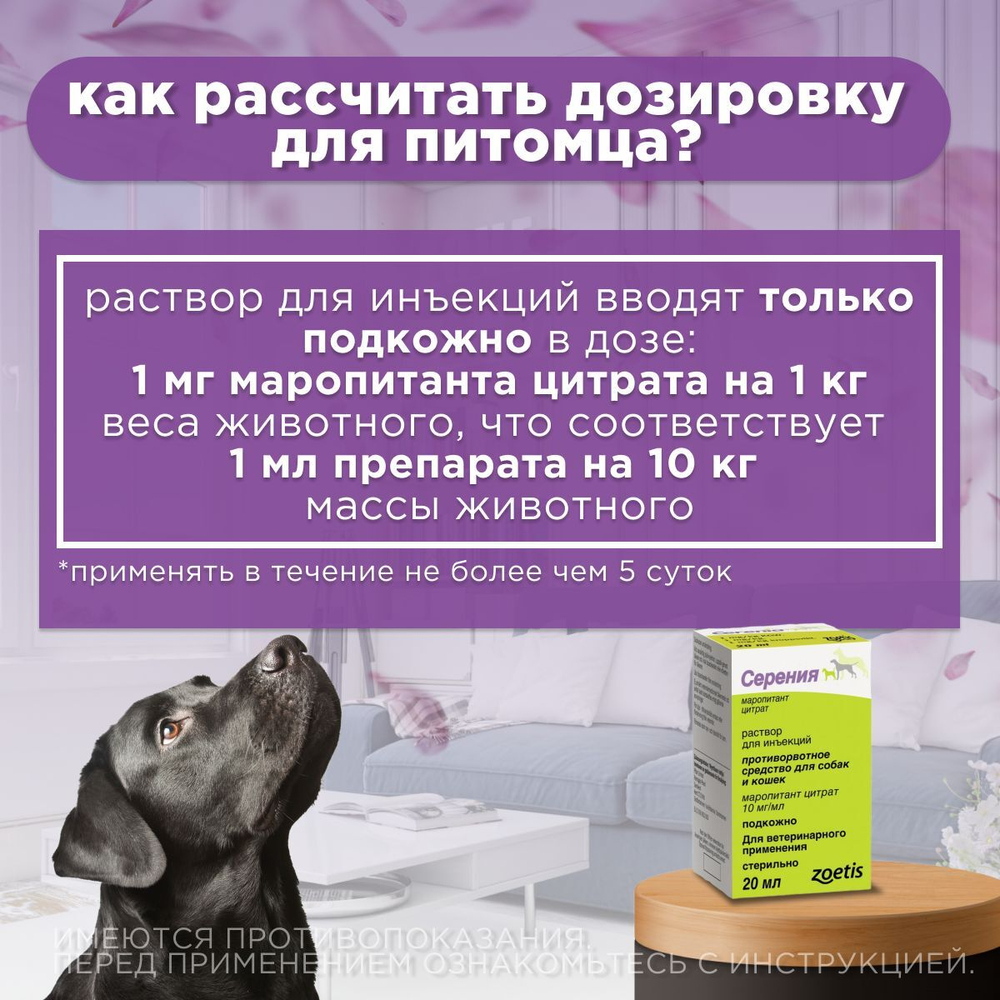 Раствор для инъекций для предотвращения рвоты различного генеза у кошек и собак Серения (Zoetis), 20мл Маропитант