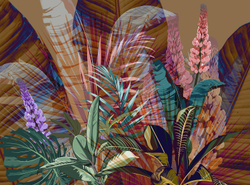 Коллекция ASTRAL