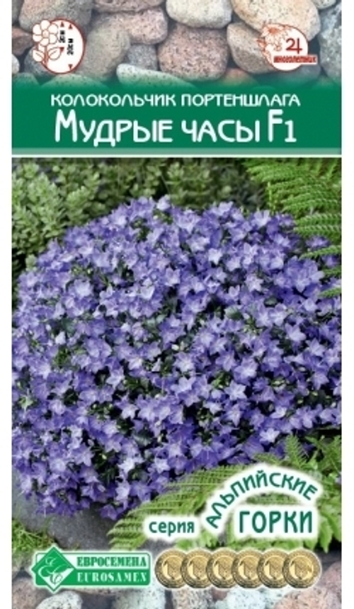 Колокольчик портеншлага Мудрые часы F1