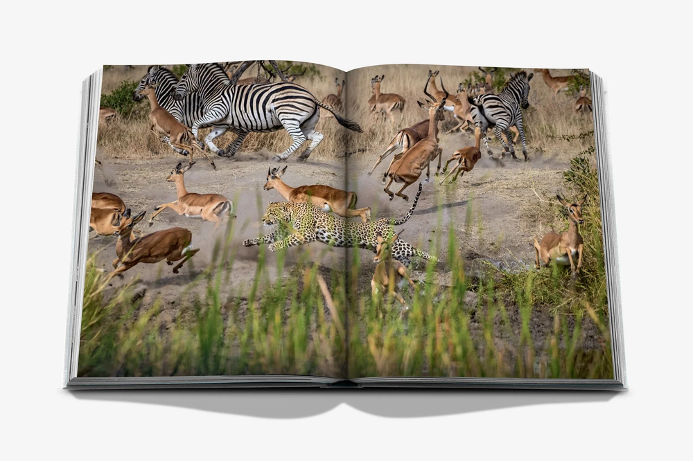 Assouline Книга Londolozi: The Safari that Changed Everything на английском языке