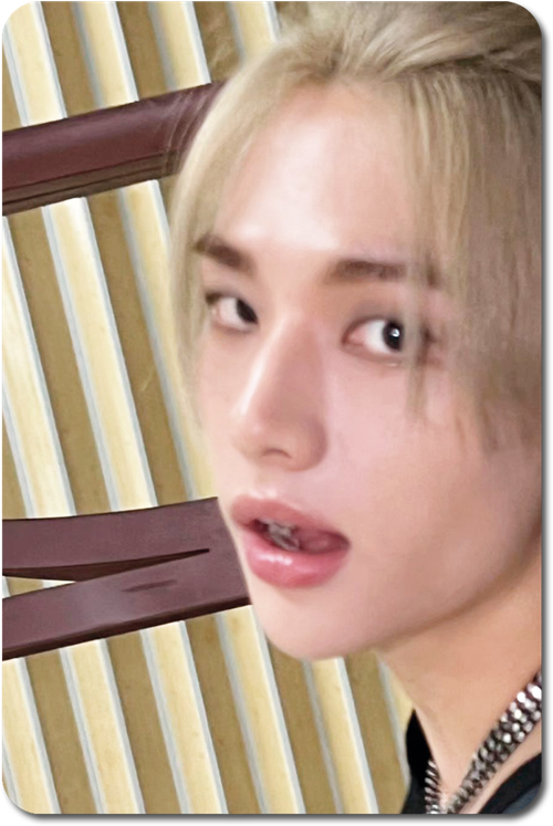 Карта / STRAY KIDS #0741