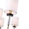 Подвесная люстра ST Luce Veritas SL1404.303.08
