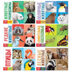 Обучающие книги набор «Удивительный мир» 6 шт.