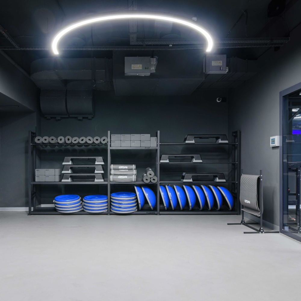 Полусфера для фитнеса PROFI-FIT