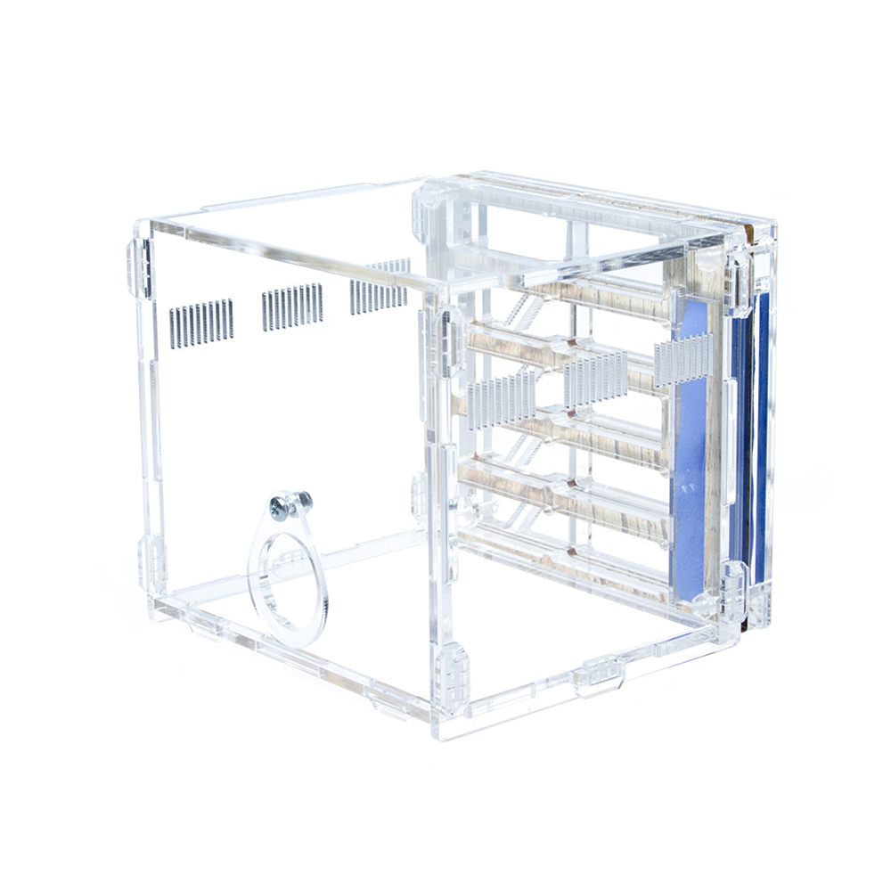 Муравьиная ферма СОТОЧКА 3.0