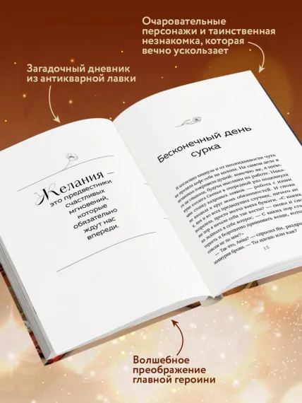 Дневник из антикварной лавки. Всегда есть шанс переписать свою жизнь