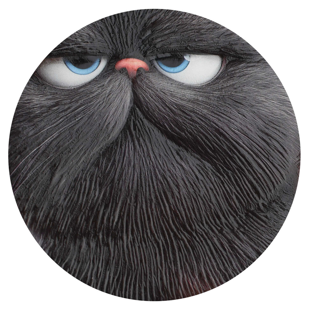 Тетрадь, 48 л, клетка, КОТЯРЫ /А5